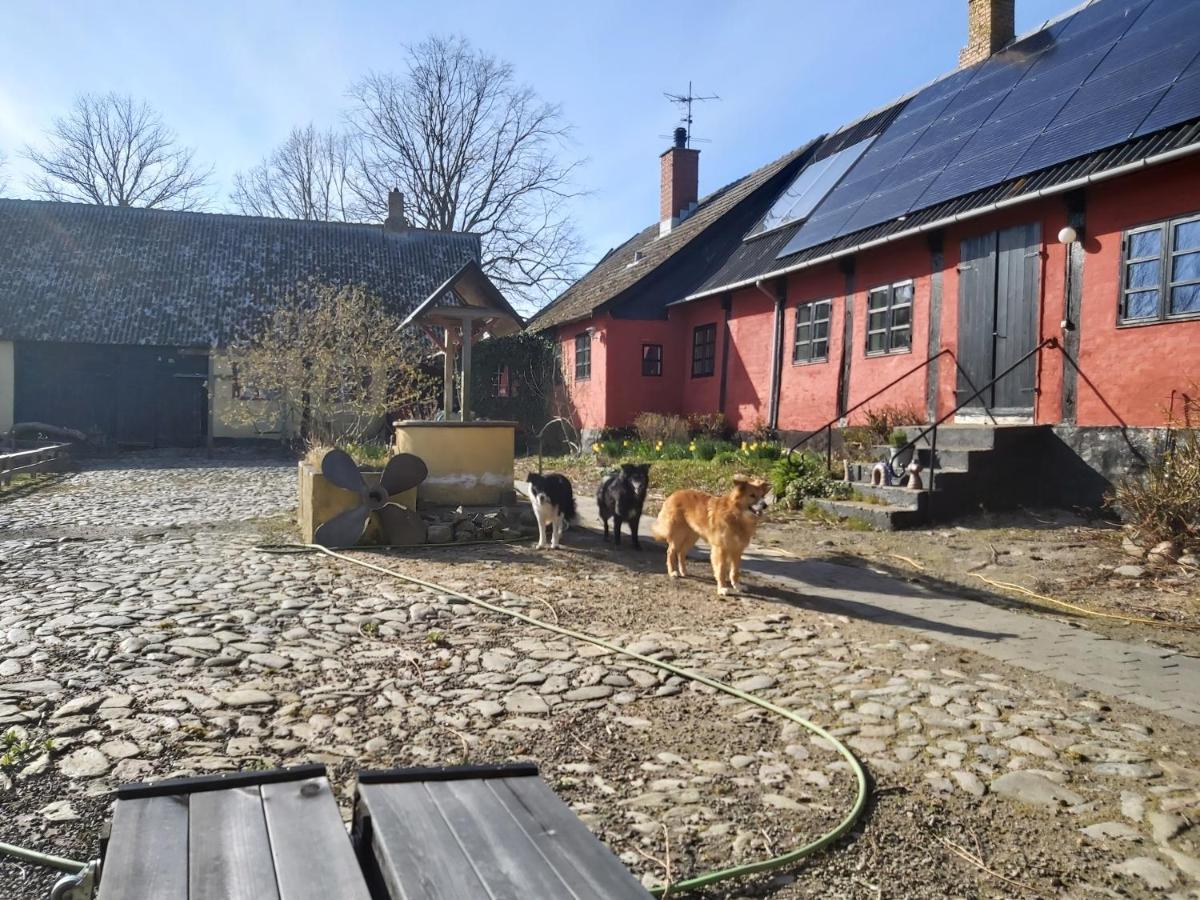 Bolshavnvej5 Bed & Breakfast Extérieur photo
